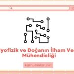 Biyofizik ve Doğanın İlham Veren Mühendisliği