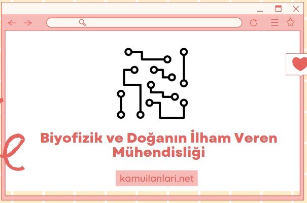 Biyofizik ve Doğanın İlham Veren Mühendisliği